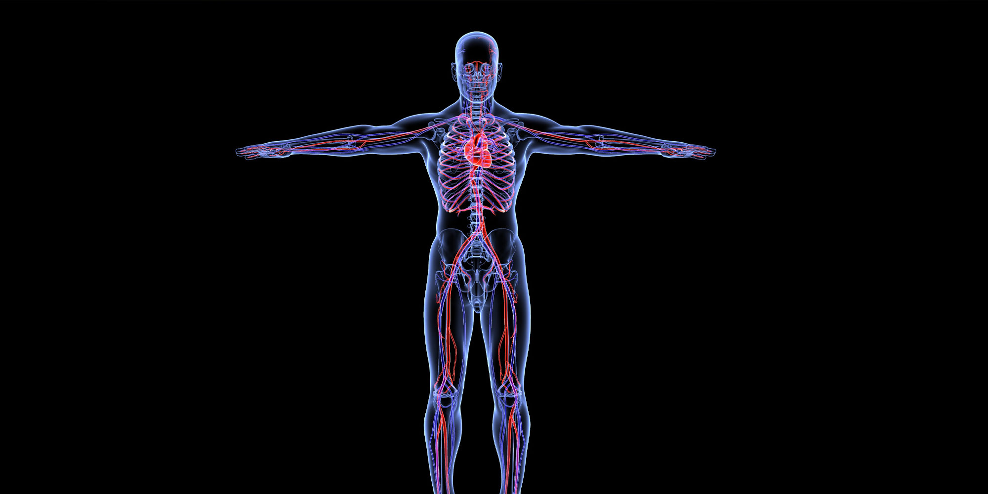 Medical History Consultation